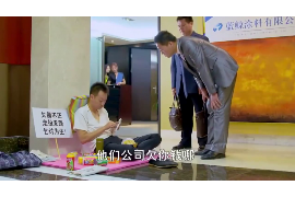 /img/1208.png/img/1208.png珠海催收债务公司电话：高效解决债务难题的专业服务/img/1208.png