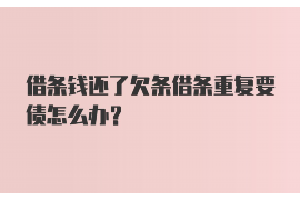合肥电话催收公司日常:揭秘高效债务回收的背后 合肥电话催收公司日常:揭秘高效债务回收的背后