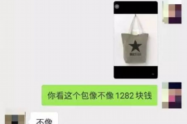 邓超讨债追到雪山花絮：娱乐圈的“追债奇遇记”